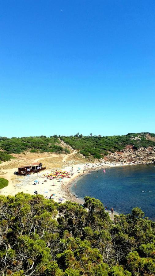 Agriturismo Porticciolo بورتو كونتي المظهر الخارجي الصورة